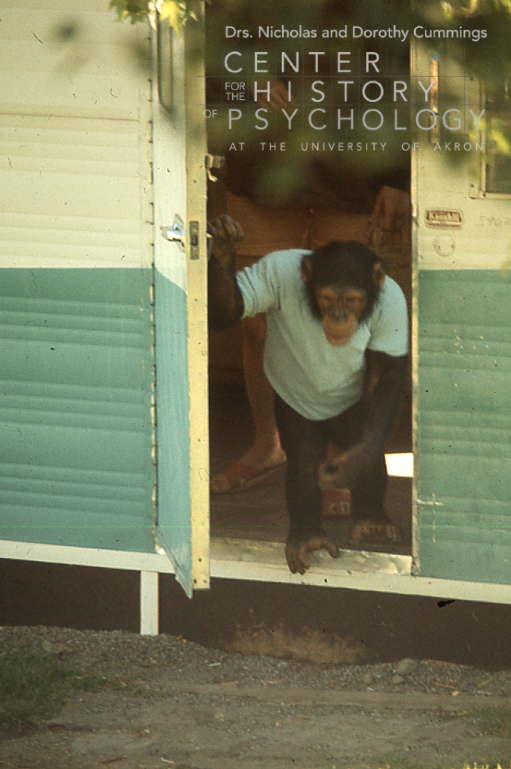 A photograph of a chimpanzee wearing a blue shirt. Washoe, the chimpanzee, is opening the door of a blue and white trailer.