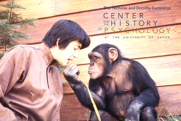 A photograph of a woman with short dark hair wearing a brown jacket is fed a long leaf by a chimpanzee.