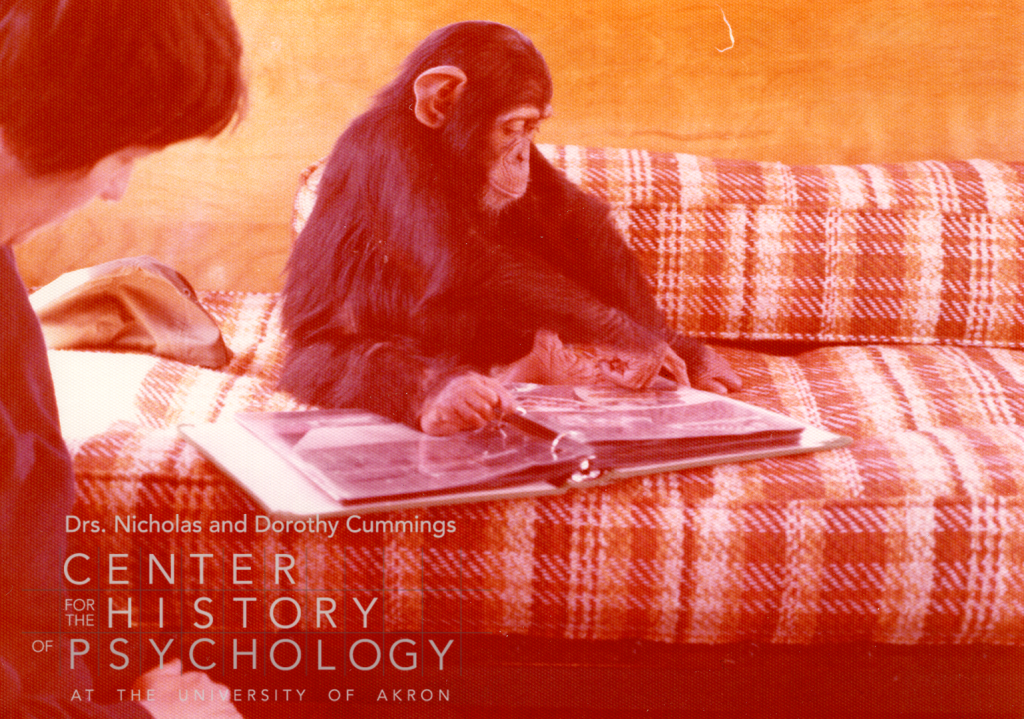 A photograph of a small chimpanzee sitting on a plaid couch and looking at a binder of images. A woman with short dark hair is partially out of frame on the left side.