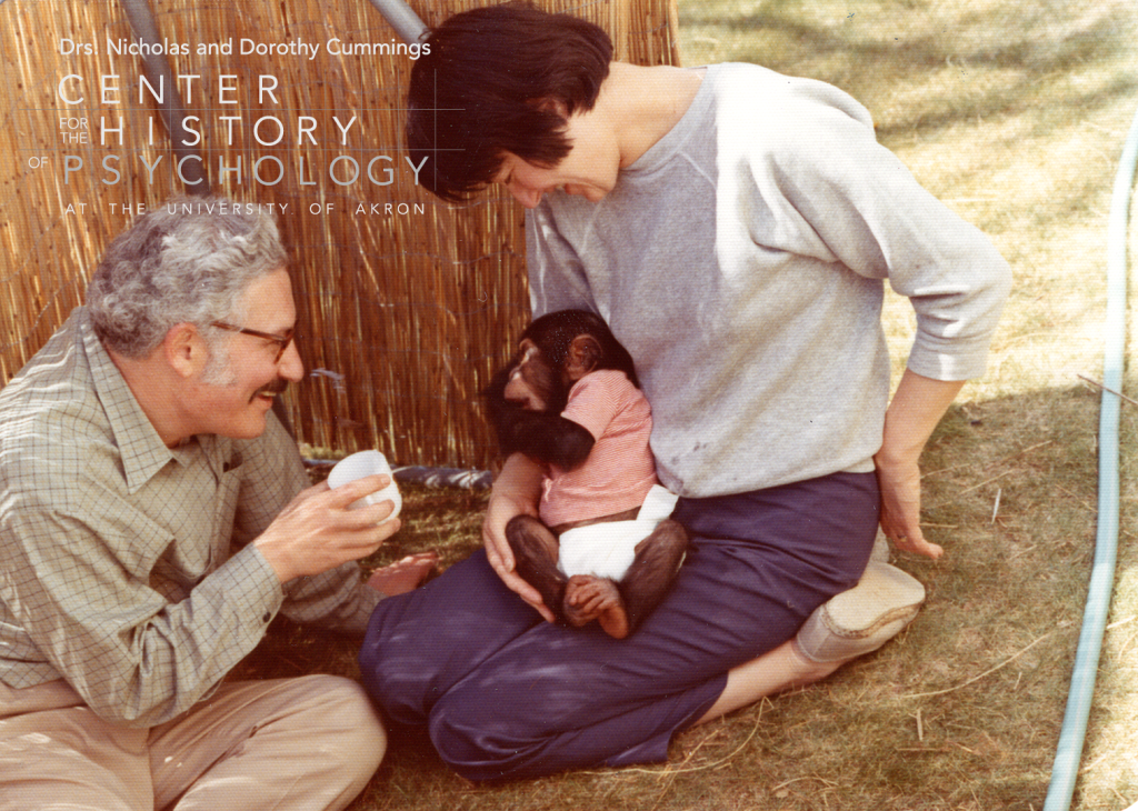 A digitized photograph of two people sitting on the grass outdoors. A woman is holding an infant chimpanzee in her lap. A man is on the left and holding a white cup to the chimpanzee.