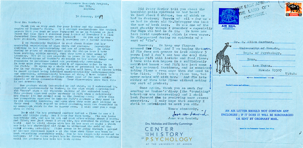 A scan of a letter written on January 30, 1969 from Jane van Lawick (Goodall) to Dr. Gardner. The letter is written on blue paper. The letter discusses chimpanzee behavior and observations.